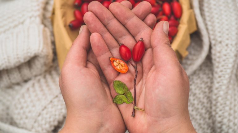 Beneficiile consumului de goji